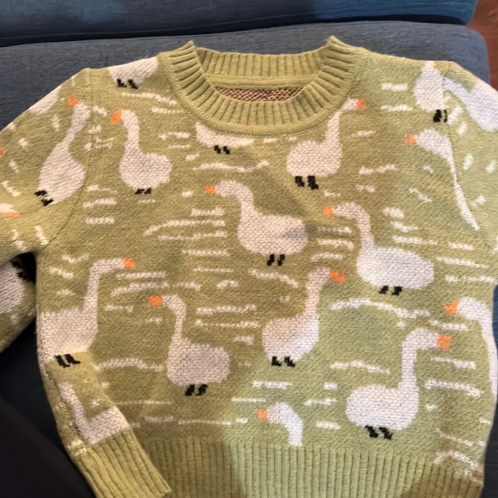 Cyrus size small cropped Swan sweater in green